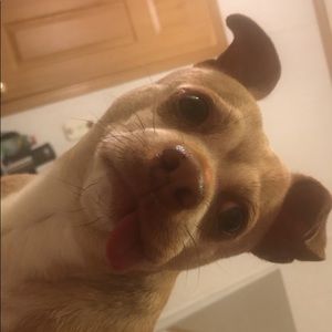 Meet your Posher, Cindy